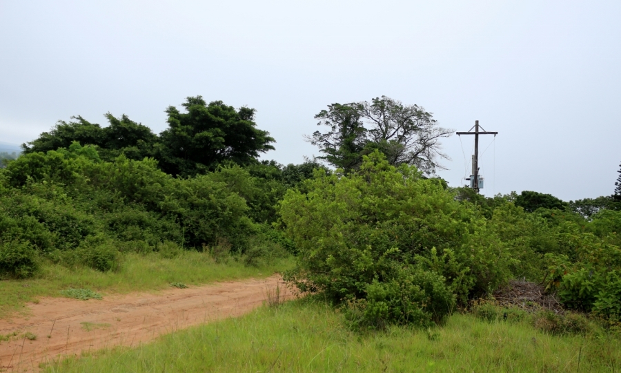 0 Bedroom Property for Sale in Bathurst Eastern Cape